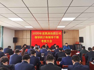 臨夏州凱潤農(nóng)牧投資發(fā)展集團有限公司 召開2020年度領(lǐng)導班子和領(lǐng)導干部考核大會