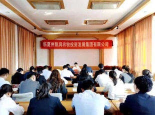 臨夏州凱潤(rùn)農(nóng)牧投資發(fā)展集團(tuán)有限公司  召開(kāi)黨史學(xué)習(xí)教育專(zhuān)題輔導(dǎo)