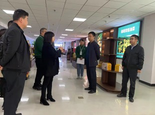 州農(nóng)投集團在水發(fā)農(nóng)投通道物流公司、河州力量公司調(diào)研
