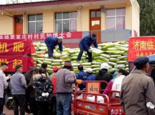 東西協(xié)作·真情幫扶 濟南市國資委、山東澳利集團公司（濟南澳利新型肥料有限公司）為臨夏州捐贈128噸有機肥料